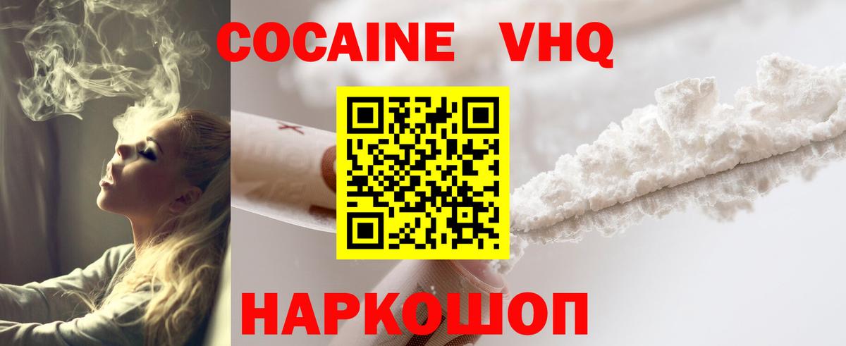 ГАШ Мончегорск
