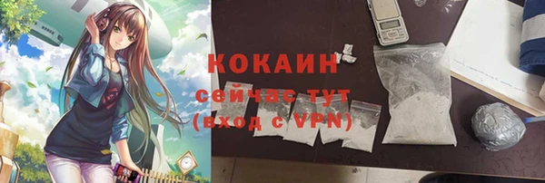 прущие грибы Бронницы