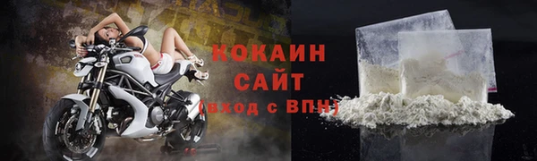 прущие грибы Бронницы