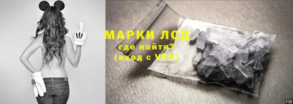 прущие грибы Бронницы