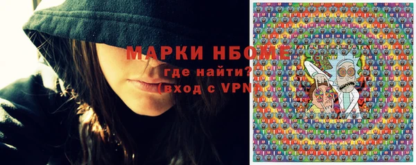 прущие грибы Бронницы