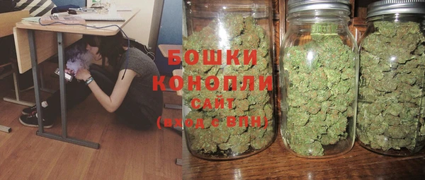 прущие грибы Бронницы