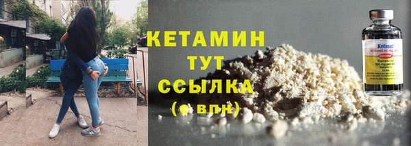 прущие грибы Бронницы