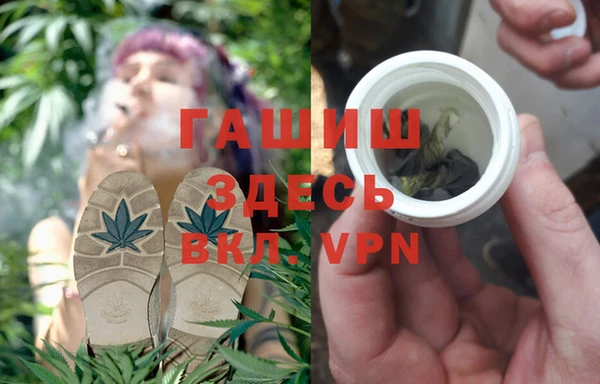 прущие грибы Бронницы