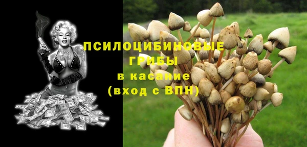 кокаин Бородино