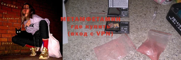прущие грибы Бронницы