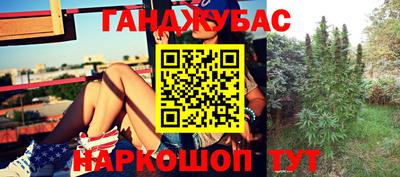 стафф Белореченск