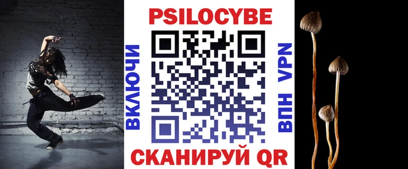Псилоцибиновые грибы Psilocybe Мончегорск