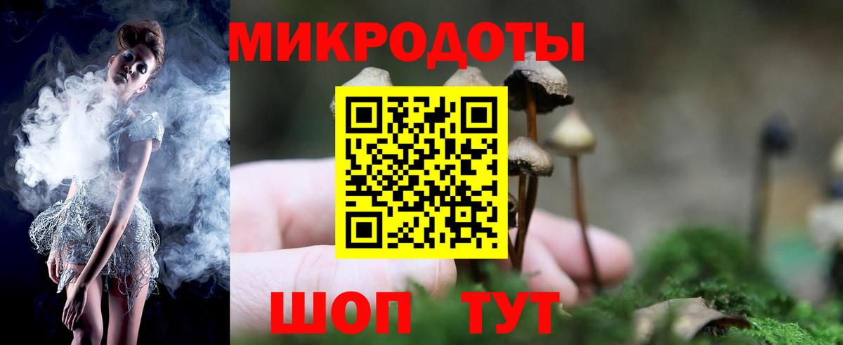 Мончегорск  Галлюциногенные грибы ЛСД  Вход с VPN 
